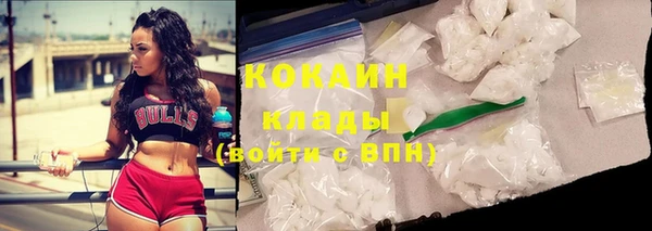 spice Арсеньев
